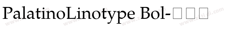 PalatinoLinotype Bol字体转换